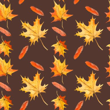 Akçaağaç yaprakları dökülür ve Rowan geriye pürüzsüz bir arkaplan bırakır