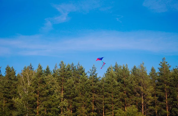 Cerf Volant Coloré Dans Ciel — Photo