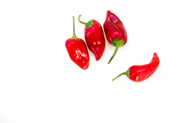 Chiles Rojos Sobre Fondo Blanco — Foto de Stock