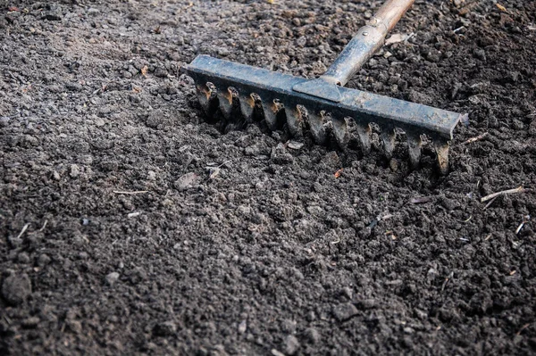kara toprağa karşı tırmık. Tarım, tarım