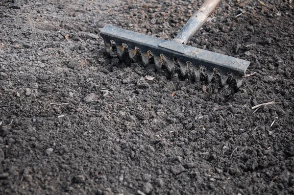 Rake Black Earth Agriculture Farming — Stock Photo, Image