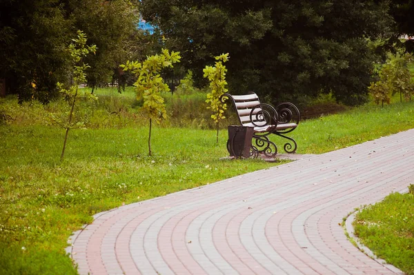 Güneşli bir yaz gününde park bankı