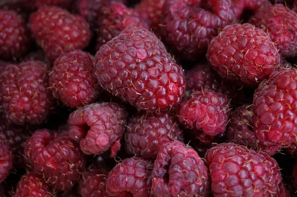 Background Many Red Ripe Raspberry Stock Picture