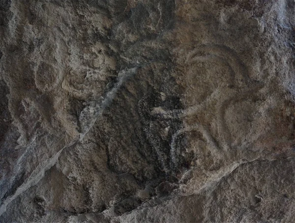 rock paintings of ancient people in Gobustan