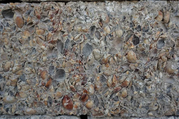 石灰岩石の背景テクスチャ — ストック写真