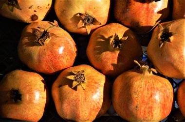 Olgun narların arkaplanı