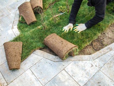 İşçi yeşil çimenler seriyor