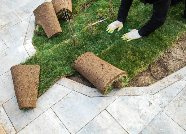 İşçi yeşil çimenler seriyor