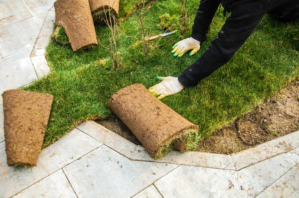 İşçi yeşil çimenlik