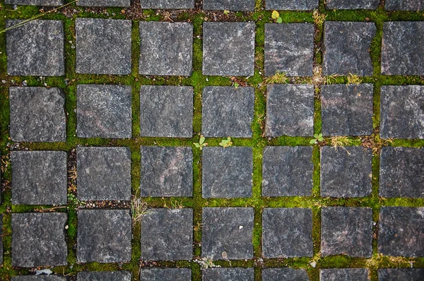 texture of granite tiles on the pavement with moss