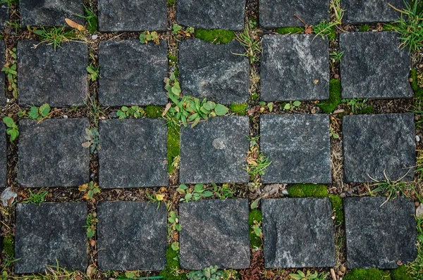 texture of granite tiles on the pavement with moss