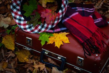 Sonbahar yaprakları ile Erkek şapka kırmızı bir eşarp ile eski bir vintage retro bavul yatıyor.