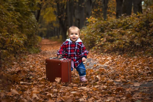 Alegre niño hipster niño en una camisa a cuadros rojo sostiene una maleta, mira a la cámara y sonríe. Parque de otoño y un camino con hojas caídas. Retrato artístico de cuerpo entero — Foto de Stock