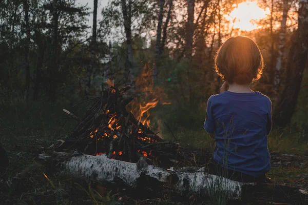 A child sits in a forest near a fiA child sits in a forest near a fire and looks at the setting sun.re and looks at the setting sun