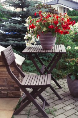 Masadaki vazoda begonya çiçeği. Bahçe işleri ve bahçe dekorasyonu. Evin girişi ya da arka bahçesi. Eski tarz masalar ve sandalyeler arka bahçeye konur. Seçici odak