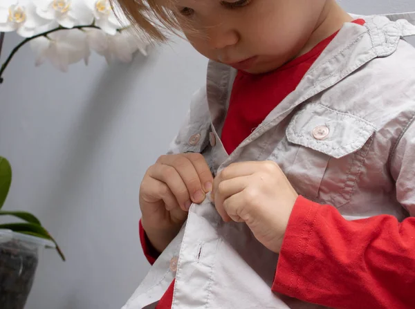 Çocukluk bağımsızlığı kavramı, düğmelerini ilikleyen küçük çocuk, düğmelerini ilikleyen beyaz gri arka plan. Çocuk kendi giysilerini giyer. — Stok fotoğraf