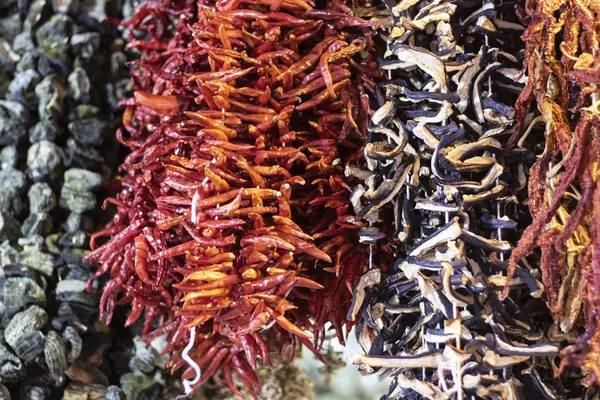 Dried hanging pepper eggplant. Royalty Free Stock Images