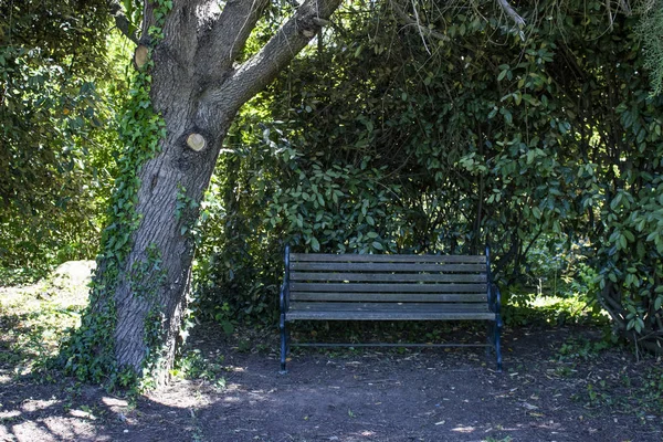 Asiento junto al árbol. Lugar de sombra para descansar en clima cálido . — Foto de Stock