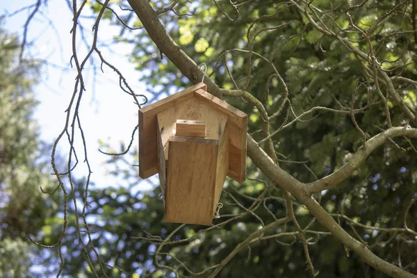 Vogelhaus aus Holz. — Stockfoto