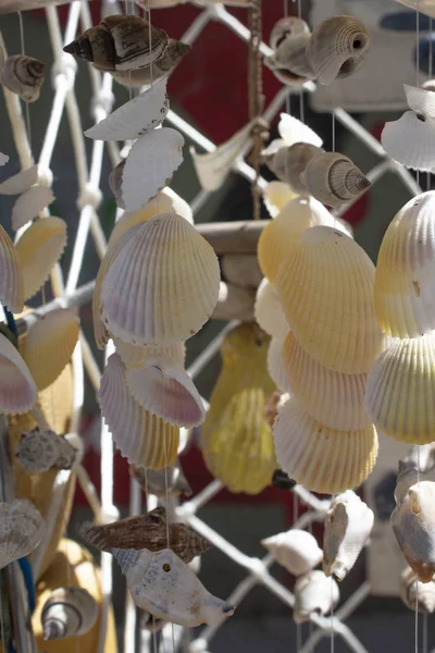 Colar feito de várias conchas do mar.Fechar tiro — Fotografia de Stock