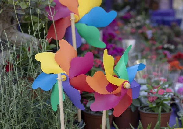 Rüzgar gül renkli. Close. bulanık arka plan