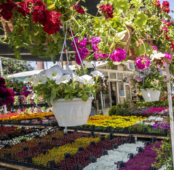 Flower market. flowers arranged in the Box.