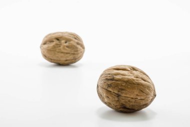 Ceviz yakın çekim. Stüdyoda çekilmiş..