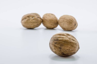 Ceviz yakın çekim. Stüdyoda çekilmiş..