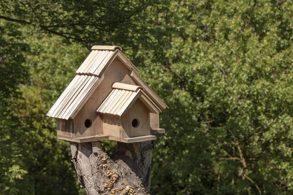 Hölzernes Vogelhaus Auf Dem Baum Auf Den Baum Geschnitten Bäume — Stockfoto