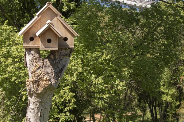 Hölzernes Vogelhaus Auf Dem Baum Auf Den Baum Geschnitten Bäume — Stockfoto