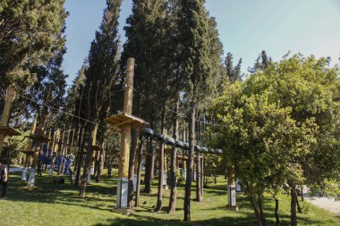 Ormanda spor malzemeleri. Gök -yüzü