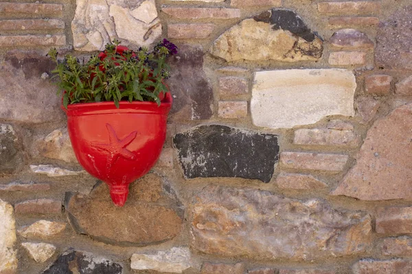 Red colorful flowerpot and purple dry flowers hanging on wall in street. — Stock Photo, Image