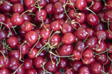 Kiraz taneleri yakın çekim. Tozlu yüzey