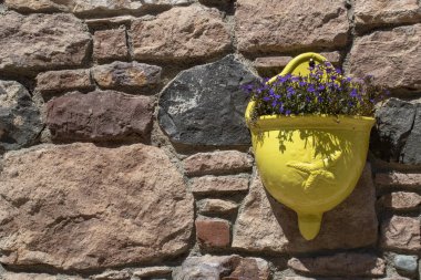 Duvara asılı çiçek kaplar. Sarı