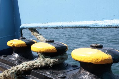 Siyah bollard yakın çekim. Üzerinde beyaz lekeler var. Arka planda bulanık deniz.