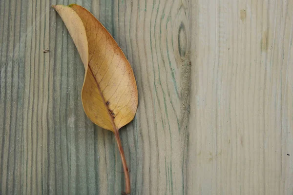 Fallen yellow leaf on wooden table. — Stock Photo, Image