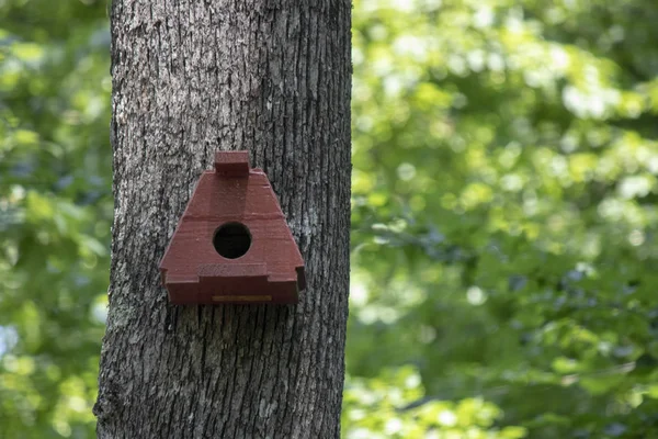 Handgemaakte vogel huis opknoping op de boom aan de rechterkant van de foto. — Stockfoto