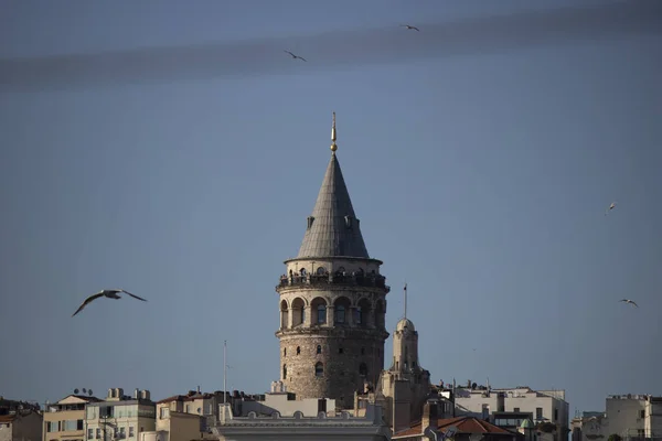 Blízký záběr z věže Galata. Létající racci a modrá obloha. — Stock fotografie