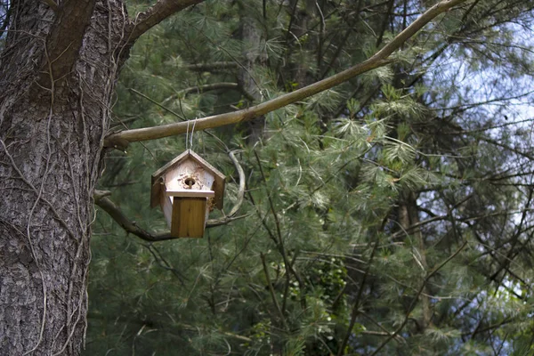 Птичий домик, висящий на дереве . — стоковое фото