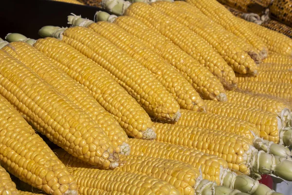 Gros plan des grains crus sur banc. Le maïs est bouilli et vendu . — Photo