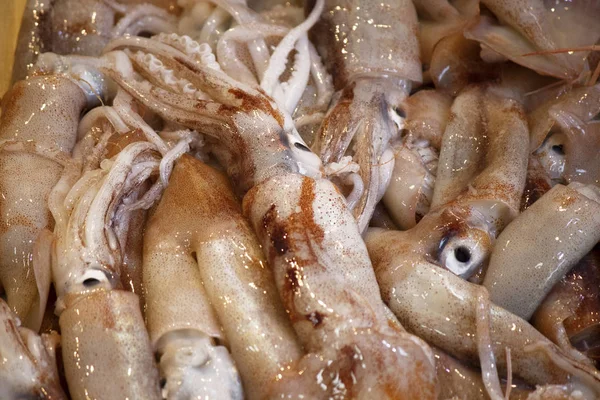 Close-up shoot of a lot of fishermen on a fishing stall. For sale. — Stock Photo, Image