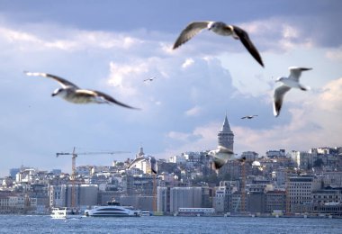 Galata Kulesi denizde çekildi. Kadraja girne martıları bulanıklaştırdı. Sonbaharda çekildi..