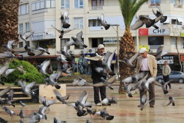 Altinoluk, Türkiye -Mart - 16.2016: Altinoluk şehir merkezinde park. İnsanlar ve şehir kuşların arasında ve arka planda.