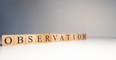 Tahta küplerden saplantı metni. Bilimsel ve sosyal deneylerle ilgili bir terim. Fotoğraf beyaz arka planda spot ışıklarıyla çekildi..