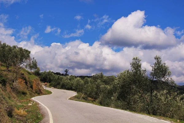 Route Asphaltée Arbres Autour Ciel Bleu Nuageux Route Monte Vers — Photo