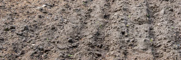 sürülmüş alan, arazi hazır 