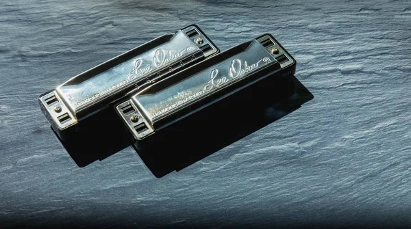 iki 10 delik ağız organı