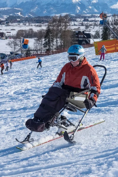 Rolstoel Downhill mono ski — Stockfoto