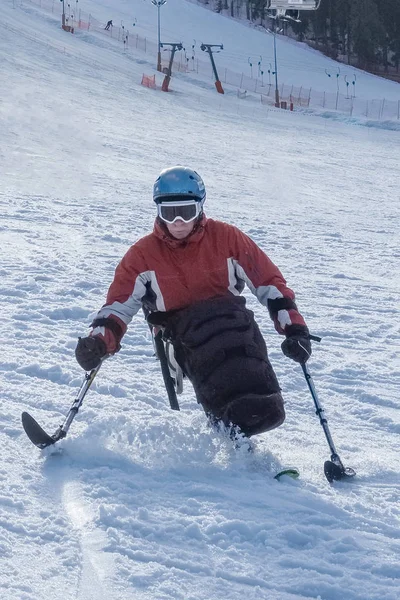 Mono-Ski für Rollstuhlfahrer — Stockfoto