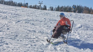 disabled person and mono ski clipart